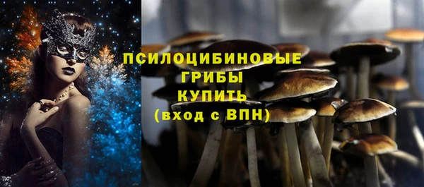 мет Аркадак