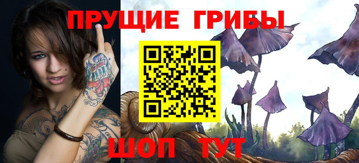 Губаха  магазин продажи наркотиков  Вход с VPN  Псилоцибиновые грибы мицелий 